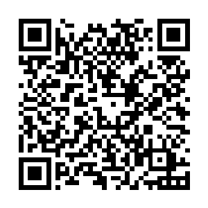 然后面的人赶紧把刚才拿来的草绳编制的网丢过来二维码生成