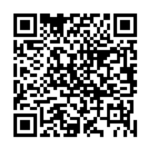 然而一直盯着她迷离却带着一层虚假的清醒的眸子的莫崎二维码生成