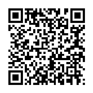 然而他的内部绝不可能具备正常的五脏六腑和肌肉骨骼二维码生成