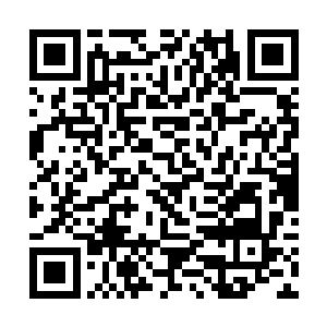 然而他的话语却是让得在场的所有弟子身躯为之一振二维码生成