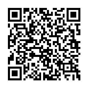 然而他的话还没有说完便是被卧龙先生给打断了二维码生成