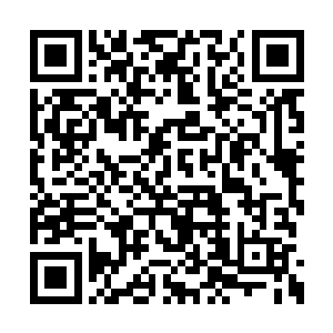 然而剩下被人带走的那八只僵尸且不说下落不明二维码生成