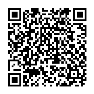 然而南方巫师联盟最重要的疆域却在千年山脉以南到千叶之森以北的地段二维码生成