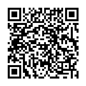 然而却有小部分的人都将目光放在夜染和君墨皇的身上二维码生成