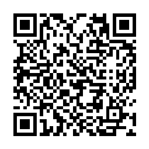 然而在两女都因为颜洛儿的苏醒而暂时忽略了周围情况二维码生成