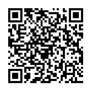 然而大多数人类都认为这个冷酷无情的君王只关心木精灵的宿命二维码生成