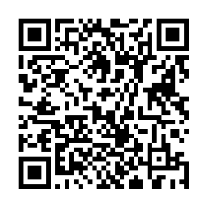 然而如果仔细观察的话便是会发现这些冰霜有些微小的旋转二维码生成