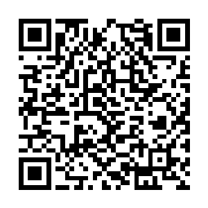 然而就像是火墙无法阻止前仆后继的蚂蚁冲击一样二维码生成