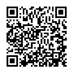 然而就当它的血盆大口眼看就要咬到十九次郎的身上时二维码生成