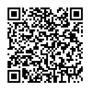 然而就这么一只杂毛小公鸡却踩在孔雀头上得到了开屏最美奖一样二维码生成