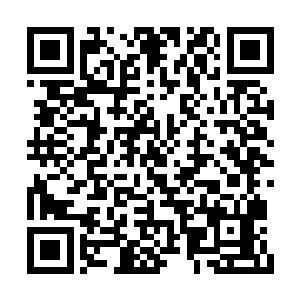 然而当他们看到流墨墨的血色神识探入瀑布瞬间二维码生成