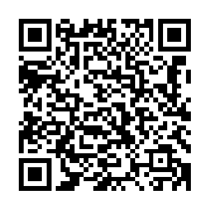 然而当众人拿到小老大分派下来的每人一份的导演原画的时候二维码生成