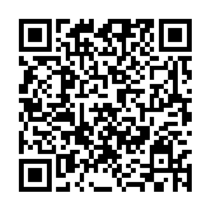 然而当她看到其他人鱼用觊觎的眼神看着龙傲天时二维码生成