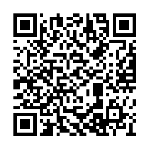 然而接下来发生的事景象直接颠覆了他们的认知二维码生成