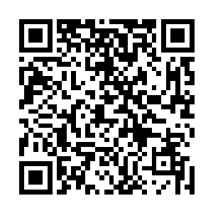 然而明显感觉到自己神魂中俩姐姐的意识都出现可惜情绪后二维码生成