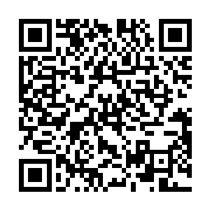 然而最精彩的一战是在星利战队和雄鹰战队之间产生的二维码生成