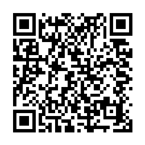 然而本该意气风发的年轻面容与这有些微妙的矛盾二维码生成