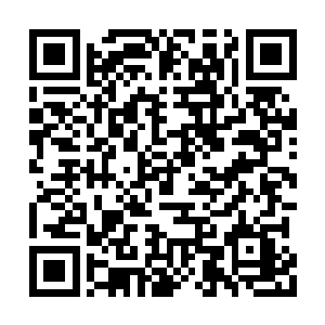 然而正当林辰认为整个血狼帮的成员都已散去时二维码生成