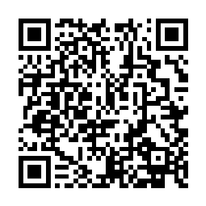 然而此刻虫皇已经不惜一切代价动用了这万蛊鼎二维码生成