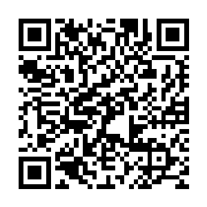 然而玄泷五人在看到老者的那一刻一个个脸上露出了狂喜的神色二维码生成
