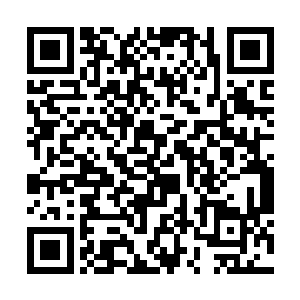 然而白浩的眼瞳在秦宇一指点出的时候却是急骤收缩二维码生成