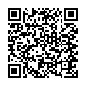 然而等那属于他们的一份东西被他们握在手上的时候二维码生成