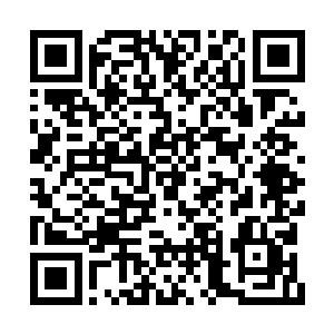 然而经过兵伐诀洗炼的他完全可以承受这种痛苦二维码生成