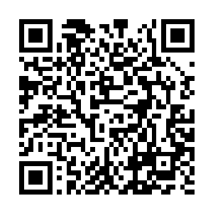 然而裹在牛乳般浓郁灵雾中的苗毅却是嘴角斜了斜二维码生成