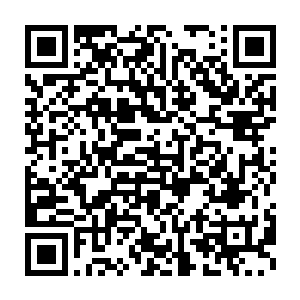 然而这位曾与鸿蒙魔族大战过的地仙在见了冰凰的情况亦是无奈道二维码生成