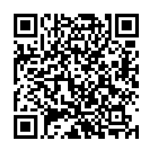 然而那也得要他有机会将那把闪电戟刺入羽的身体二维码生成