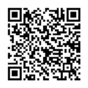 煞灵阁这套不成为的规矩已经存在不知道多少年了二维码生成