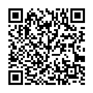 照在坐在沙发上还在那儿看着书的加里布埃拉的身上二维码生成