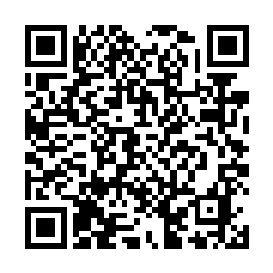 照理说不是特别熟悉的人基本上就不太可能认出自己来二维码生成