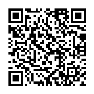 煽动神之城八大家族的老祖试图借他们之手对付剑尘二维码生成