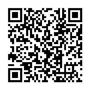 熊哥自然在保安那里得知苏凡等人都会一点小功夫二维码生成