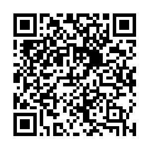 熊孩子看了一眼那在能量护罩上方飞速旋转的无数飞剑二维码生成