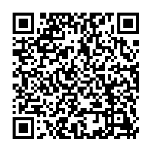 熊孩子睿哥儿甩着一张小肥脸跟在小萝莉妞妞身后颠颠儿的跑来了二维码生成