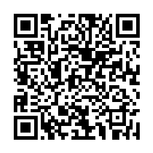 熊飞霸的目光直接朝着那剑气冲天的男子看了过去二维码生成