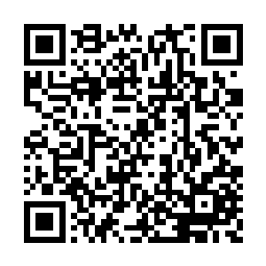 熟练的炮手可以从炮台暗堡的炮口把炮弹打进去二维码生成