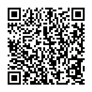 熟练的用着刀叉眨眼之间那盘早餐里的食物就变成了大小完美的颗粒二维码生成
