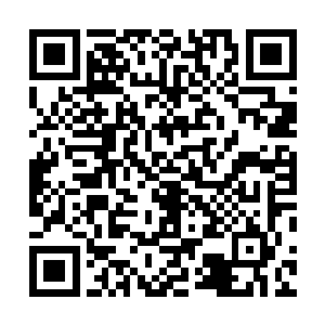 熬了将近一个时辰出来的玉米粥却让他咽了许久才咽下去二维码生成