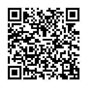 熬师弟死于降头天师手中的事情我已经知道了……二维码生成