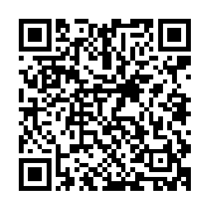 燕北虹把剩下的没用完的装满了红色粉尘的储物镯一起给了他二维码生成