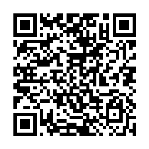 燕子扬几乎把天元所有品牌所有颜色的漆都用了一遍二维码生成