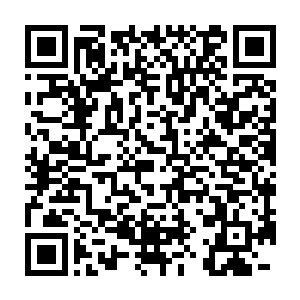 燕小霞和公输若兰自告奋勇的去周边的市集买来了酒水食材和锅碗瓢勺二维码生成
