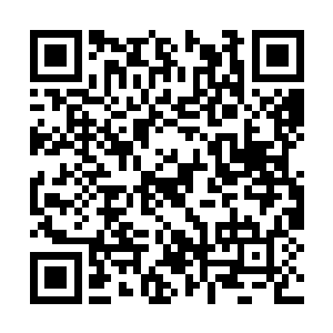 燕山魂似乎并不是破解不了地灵族族长布设的阵法二维码生成