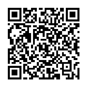 燕山魂和许紫烟又出手买下了几个非常珍稀的材料二维码生成