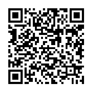 燕浩所没有想到的是――他们看起来好像有点紧张二维码生成