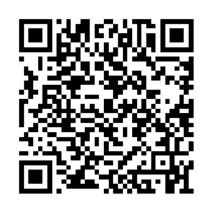 燕道怎么也不会想到张潇晗的修为达到了化神期二维码生成