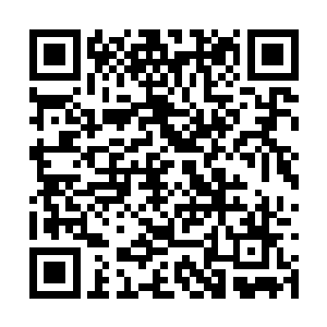 燕长风派个弟子估计就能把他们掌门打的找不着北二维码生成